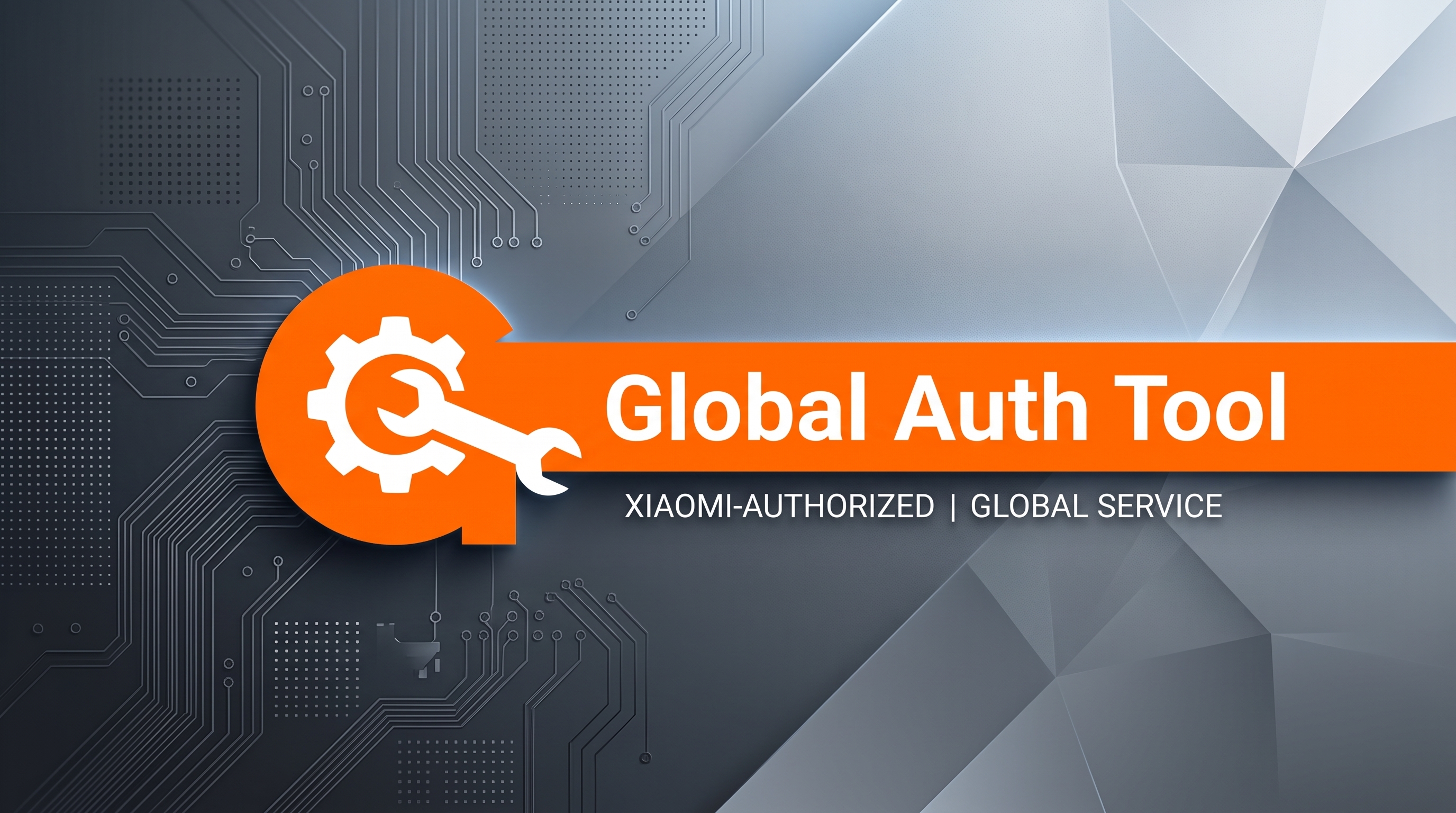 Global Auth Tool Interface